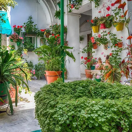 Jerez Апартаменты *