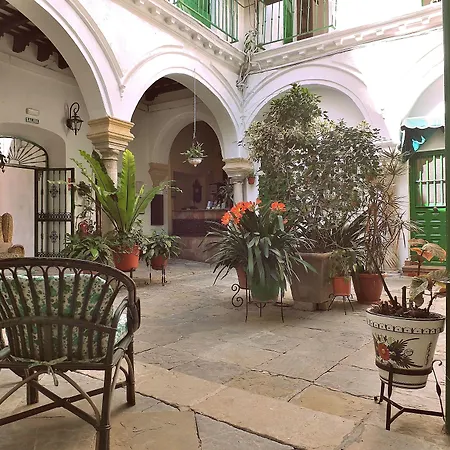 Apartment Jerez Jerez de la Frontera